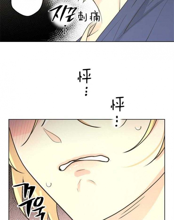 《逃跑计划(I II季)》第84话 第12页