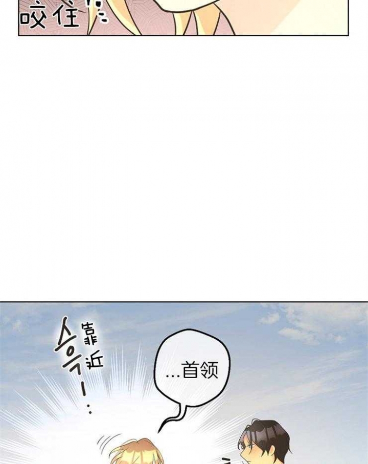 《逃跑计划(I II季)》第84话 第13页