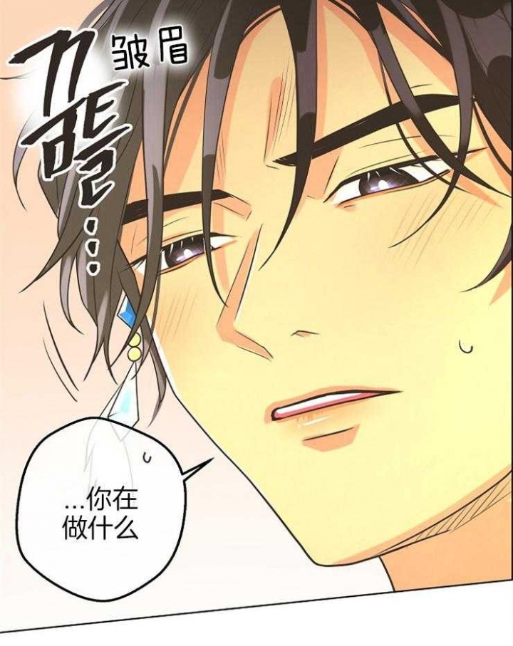 《逃跑计划(I II季)》第84话 第15页