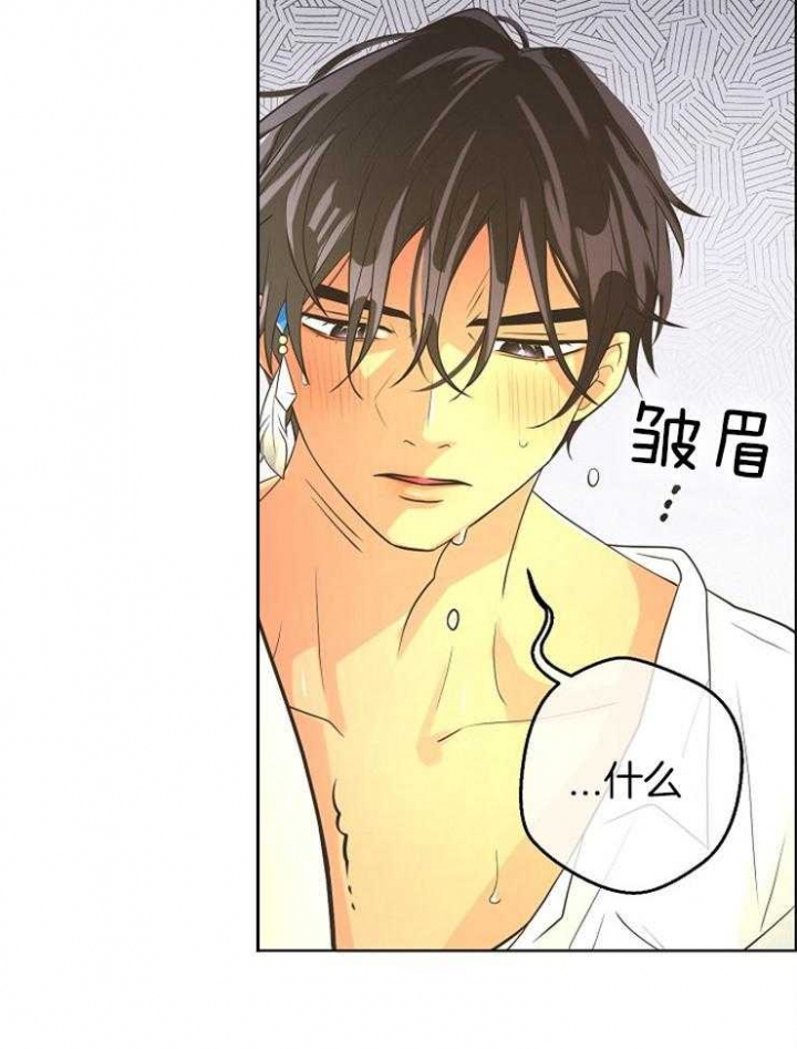 《逃跑计划(I II季)》第84话 第23页