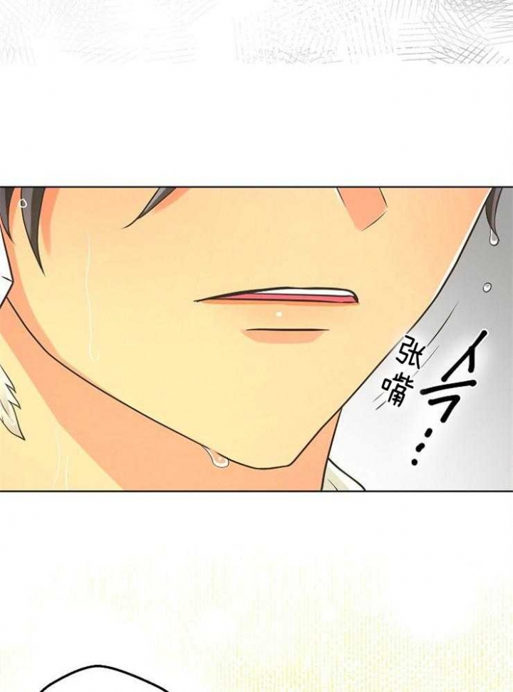 《逃跑计划(I II季)》第80话 第28页