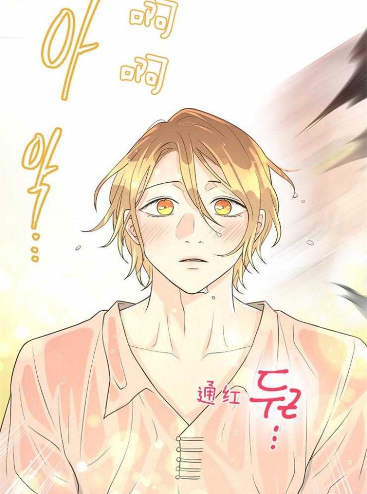 《逃跑计划(I II季)》第80话 第31页