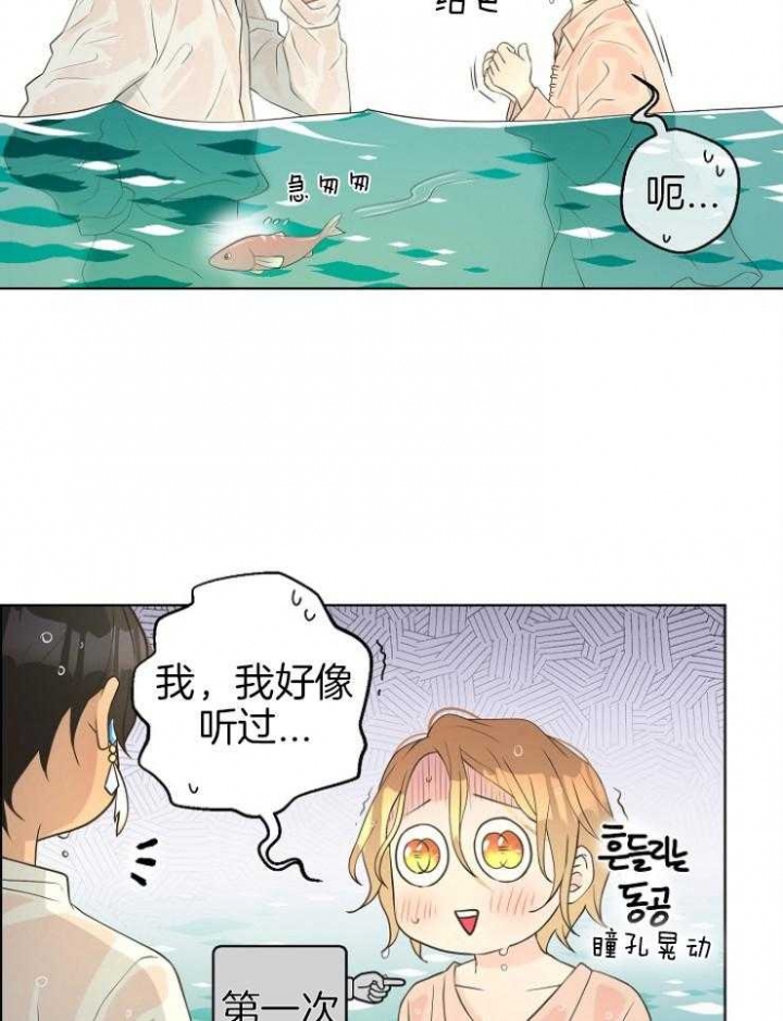《逃跑计划(I II季)》第79话 第31页