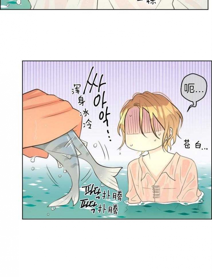 《逃跑计划(I II季)》第79话 第36页