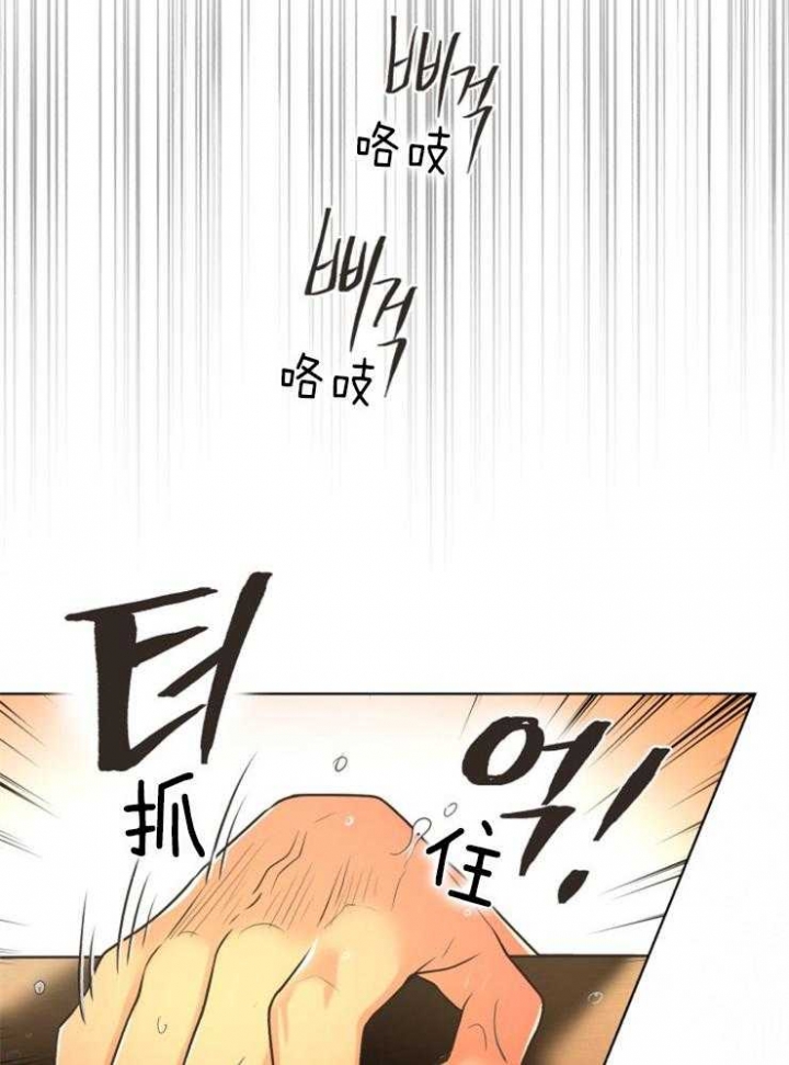 《逃跑计划(I II季)》第71话 第5页