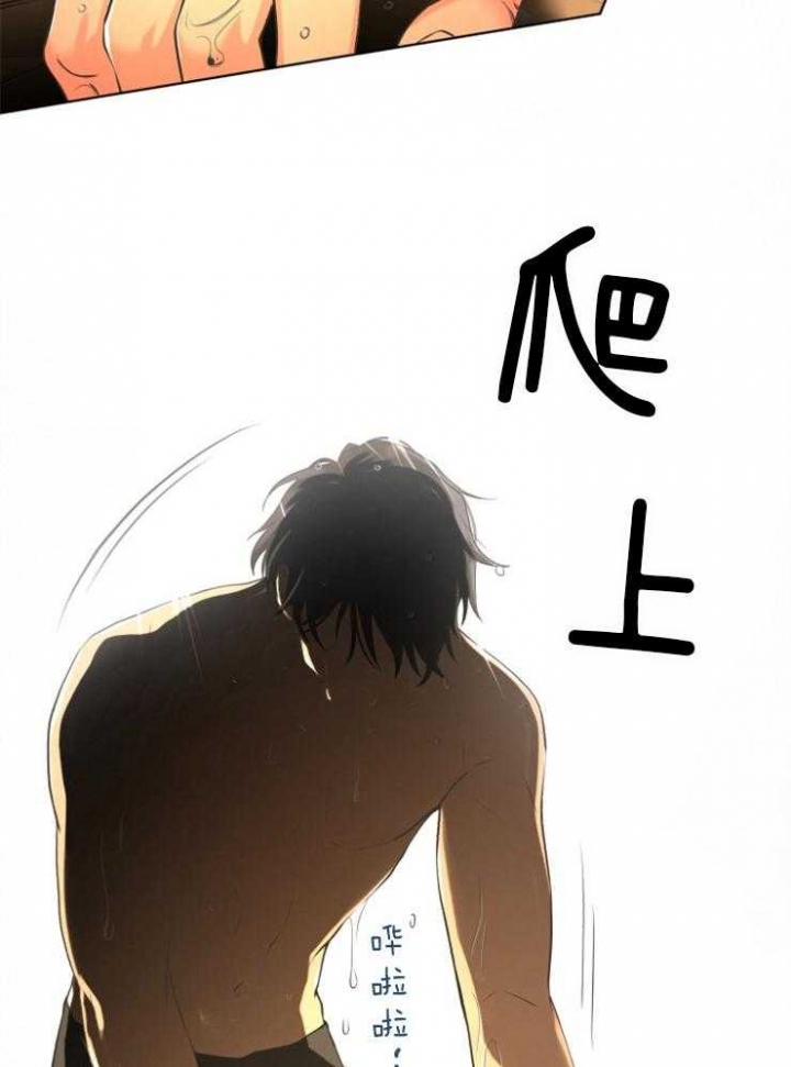 《逃跑计划(I II季)》第71话 第6页
