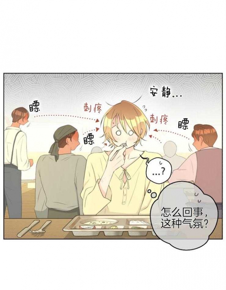 《逃跑计划(I II季)》第74话 第20页