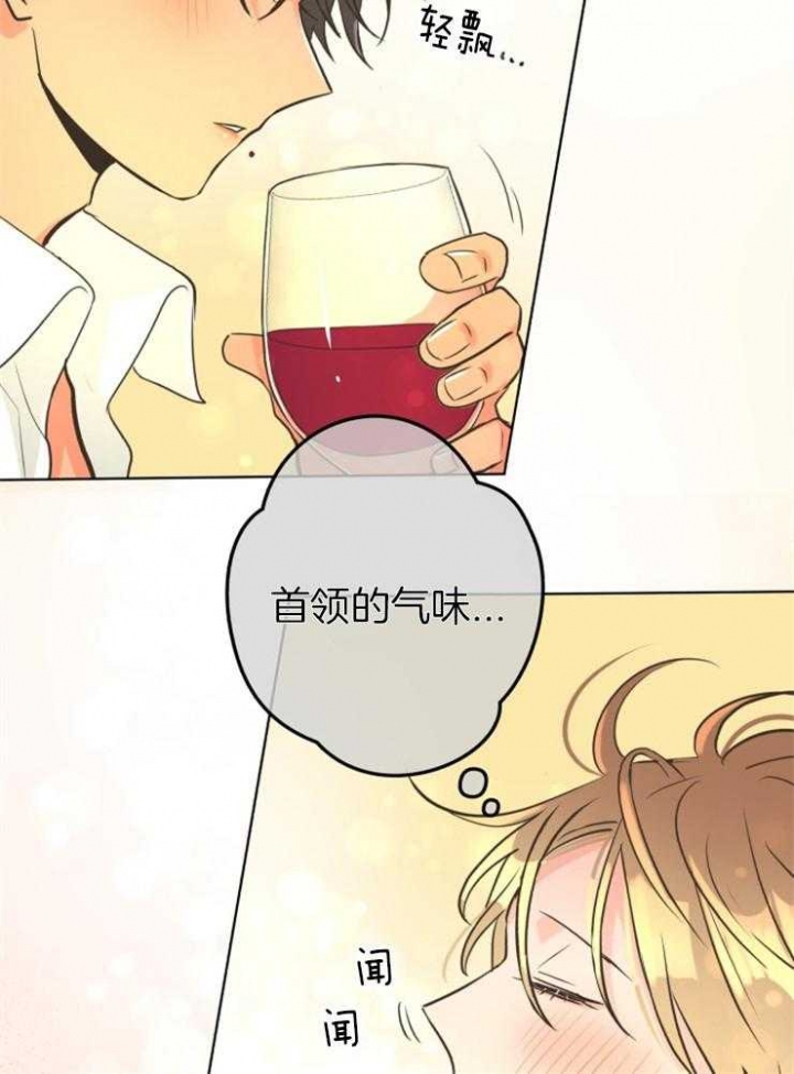 《逃跑计划(I II季)》第69话 第17页
