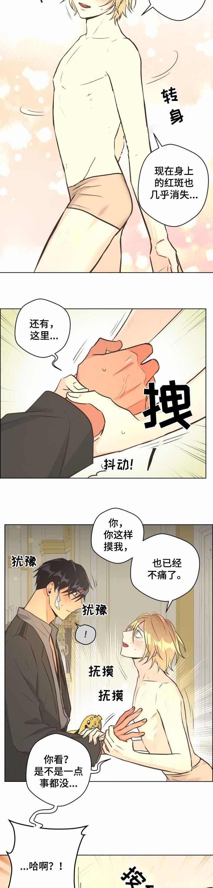 《逃跑计划(I II季)》第66话 第8页