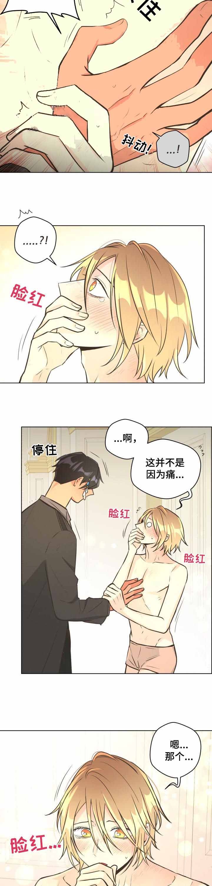 《逃跑计划(I II季)》第66话 第9页