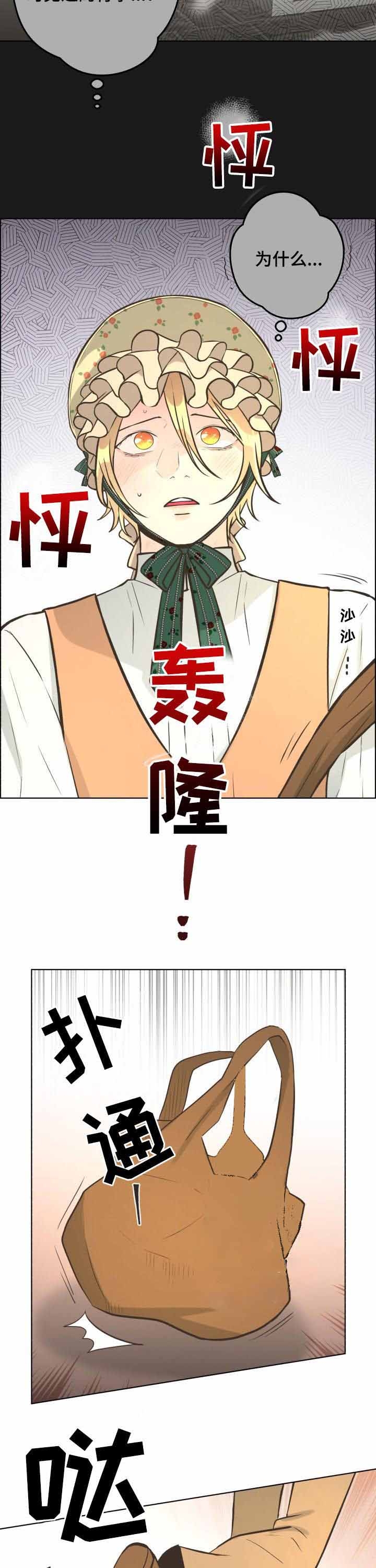 《逃跑计划(I II季)》第65话 第5页