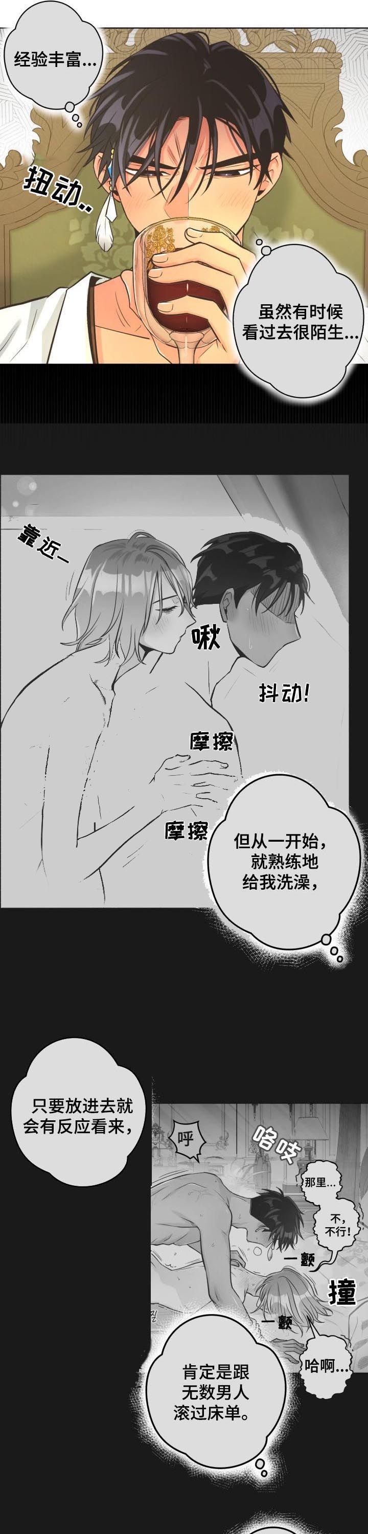 《逃跑计划(I II季)》第62话 第5页