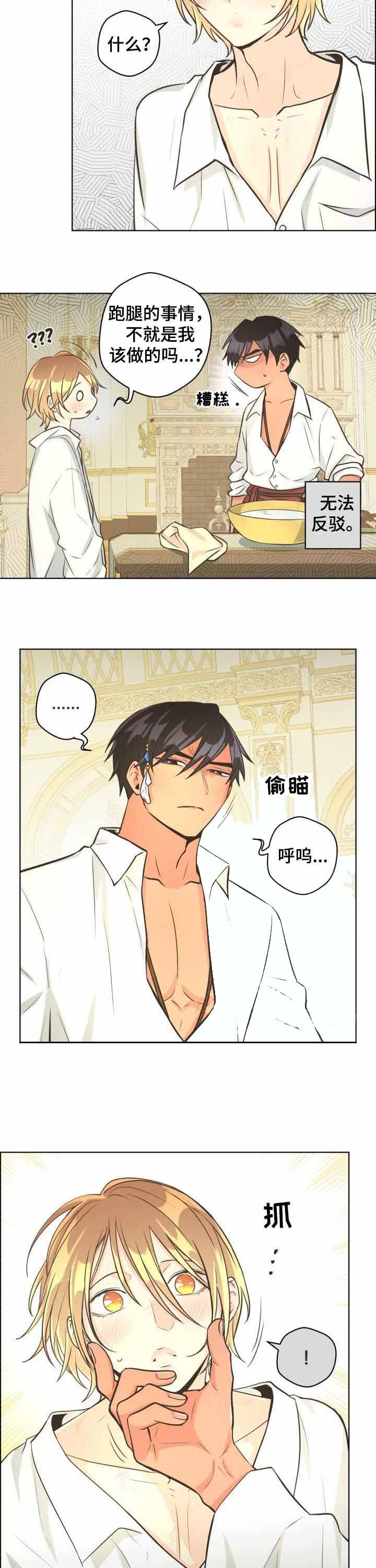 《逃跑计划(I II季)》第64话 第2页