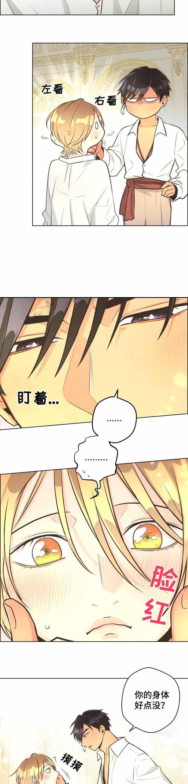 《逃跑计划(I II季)》第64话 第3页