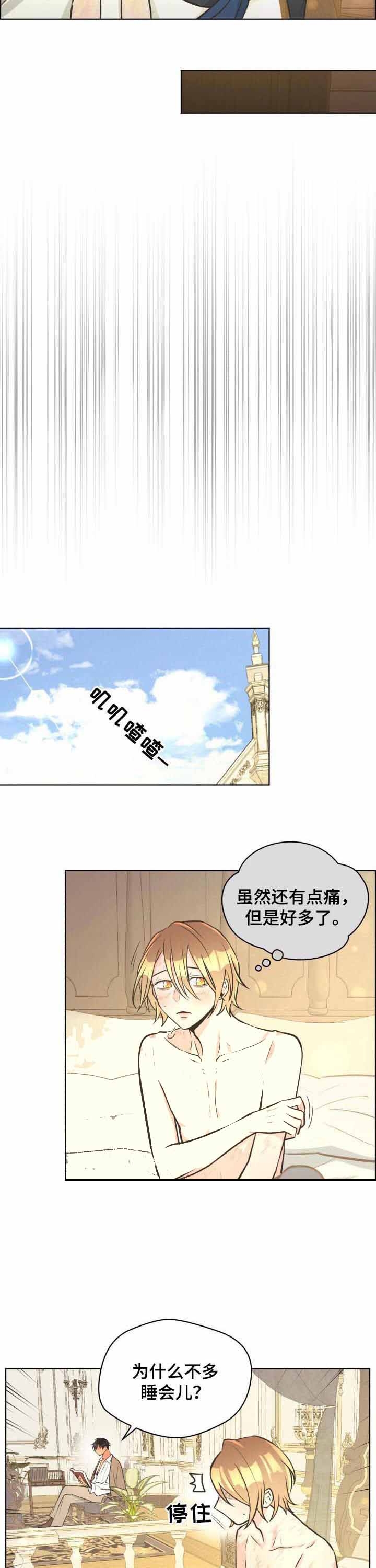 《逃跑计划(I II季)》第58话 第2页