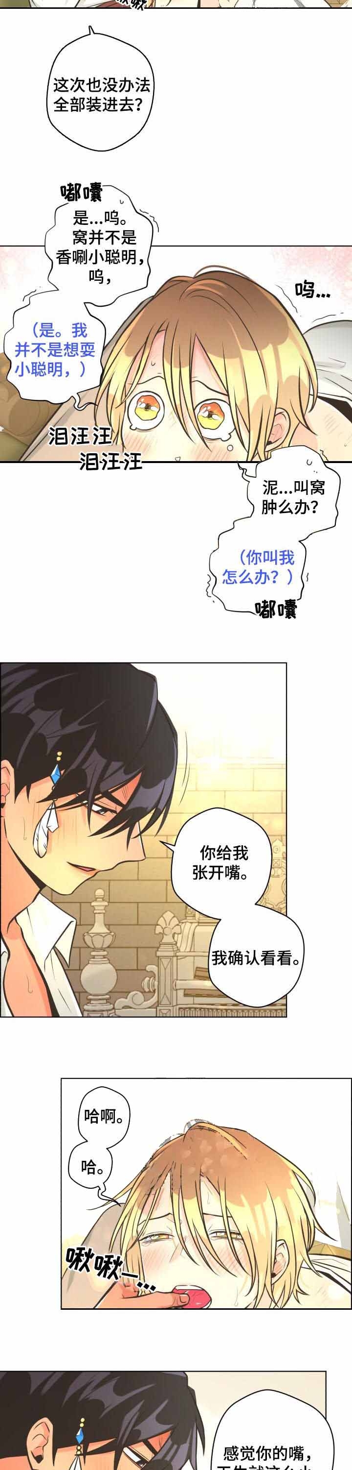 《逃跑计划(I II季)》第60话 第7页