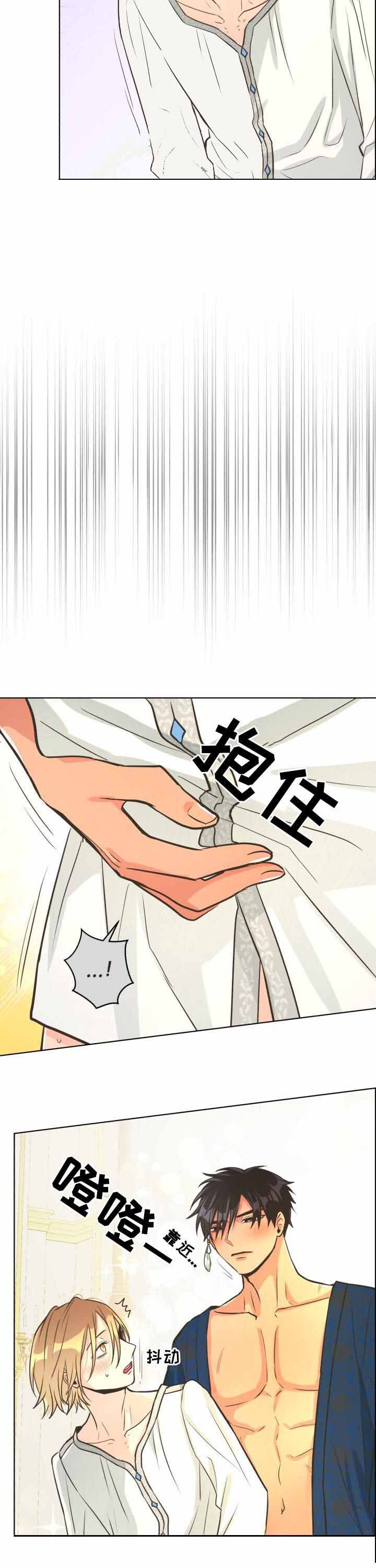 《逃跑计划(I II季)》第46话 第10页