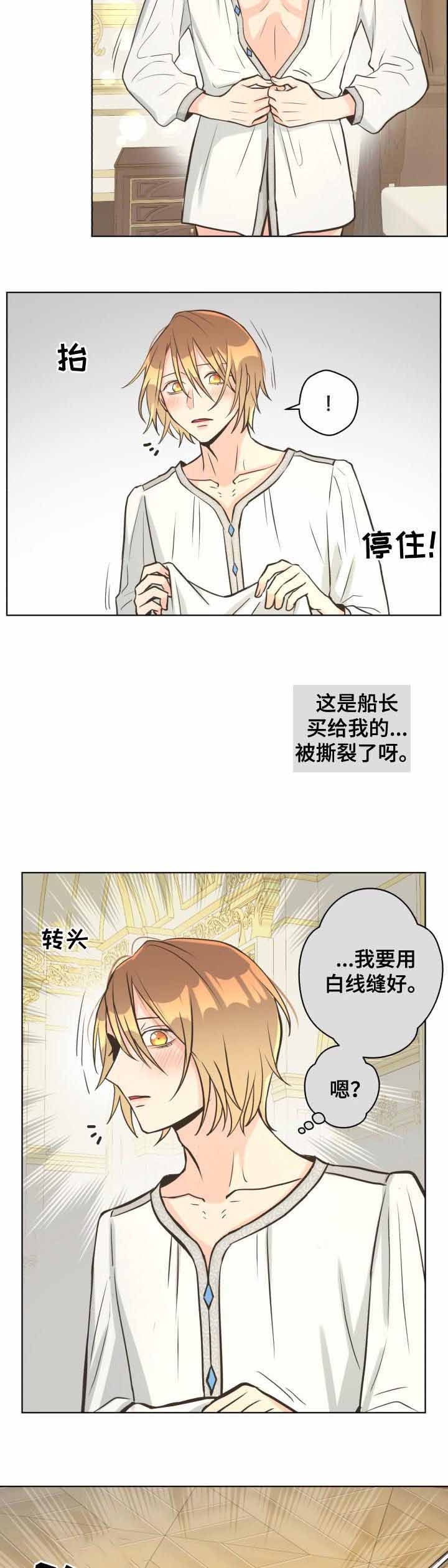 《逃跑计划(I II季)》第46话 第7页