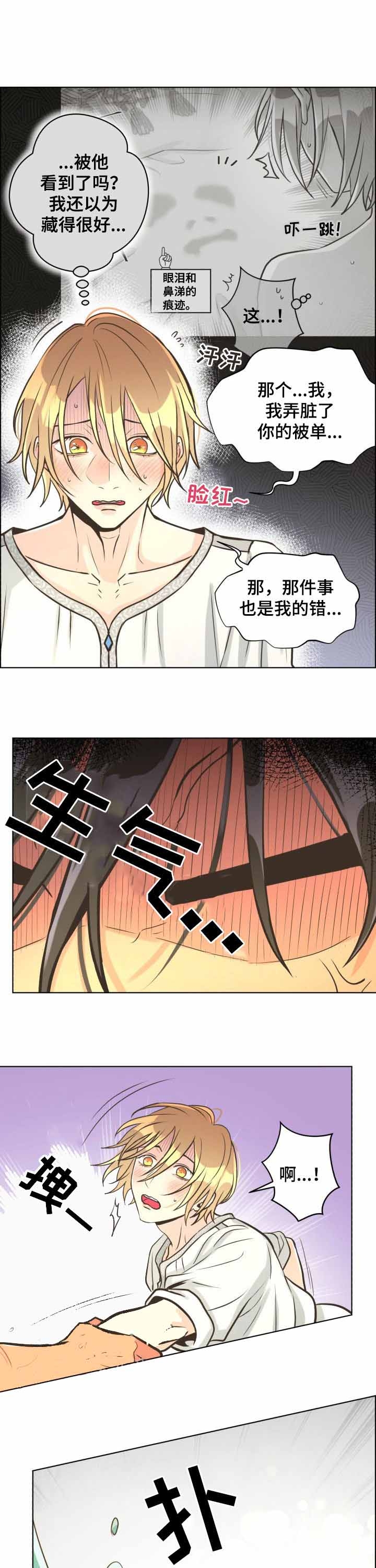 《逃跑计划(I II季)》第50话 第8页