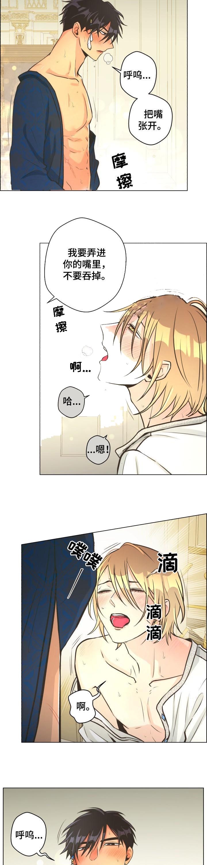 《逃跑计划(I II季)》第44话 第3页