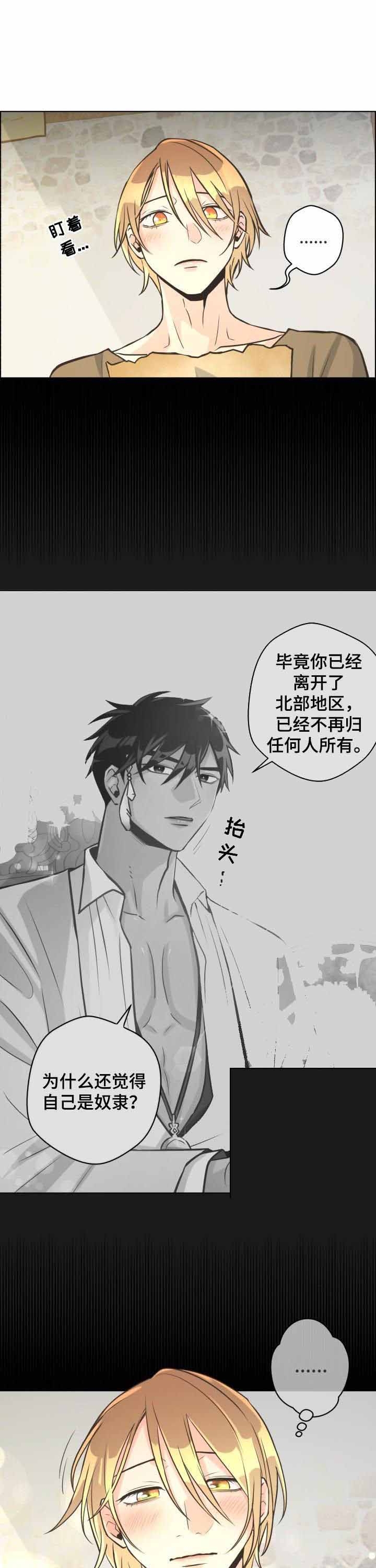《逃跑计划(I II季)》第41话 第7页