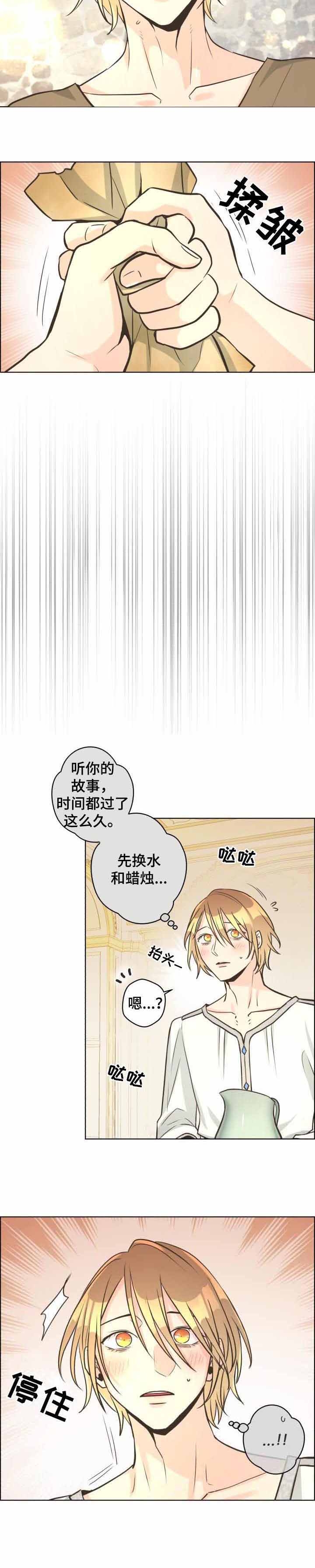 《逃跑计划(I II季)》第41话 第8页