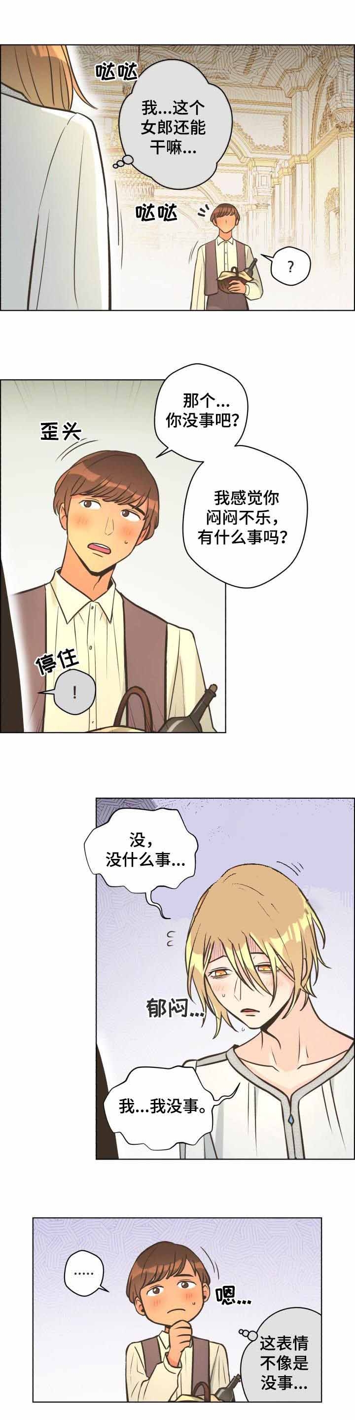 《逃跑计划(I II季)》第42话 第3页