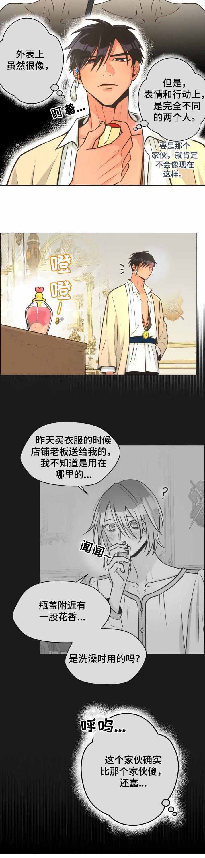 《逃跑计划(I II季)》第40话 第5页