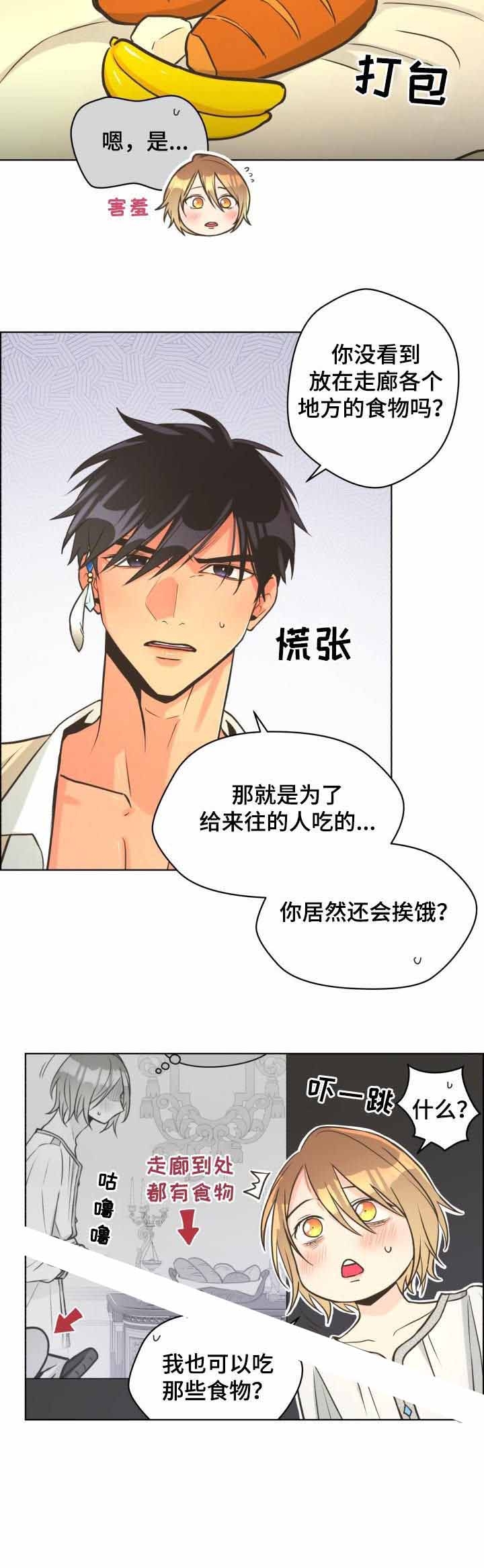 《逃跑计划(I II季)》第39话 第3页