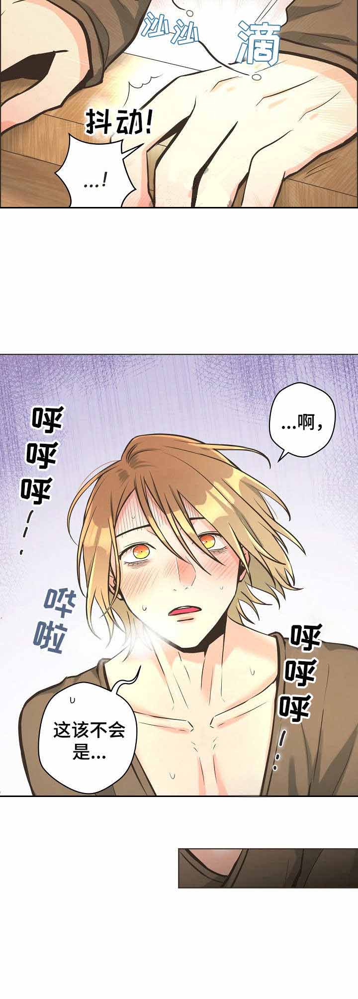 《逃跑计划(I II季)》第26话 第9页