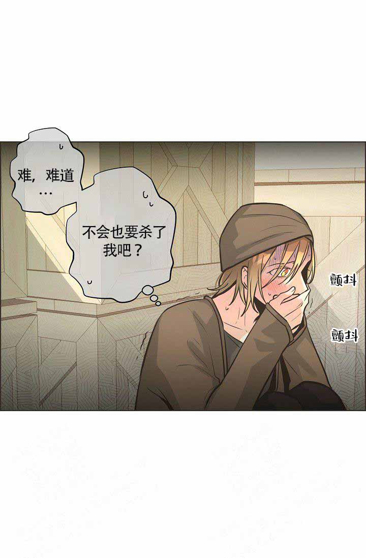《逃跑计划(I II季)》第23话 第20页