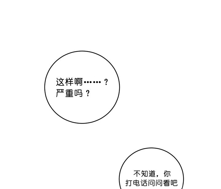 《柳树浪漫史》第29话 第1页