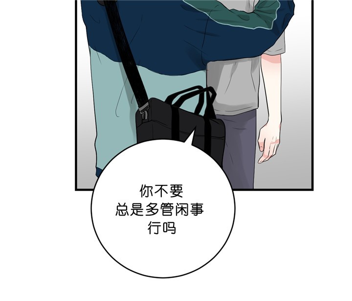 《柳树浪漫史》第30话 第3页