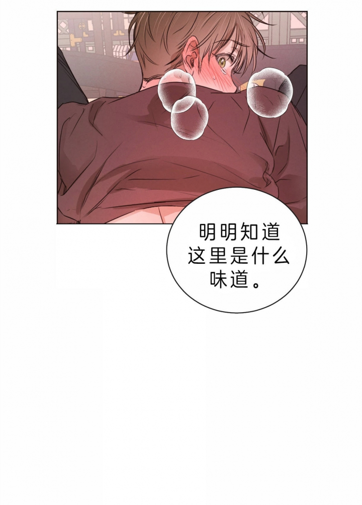 《柳树浪漫史》第55话 第11页