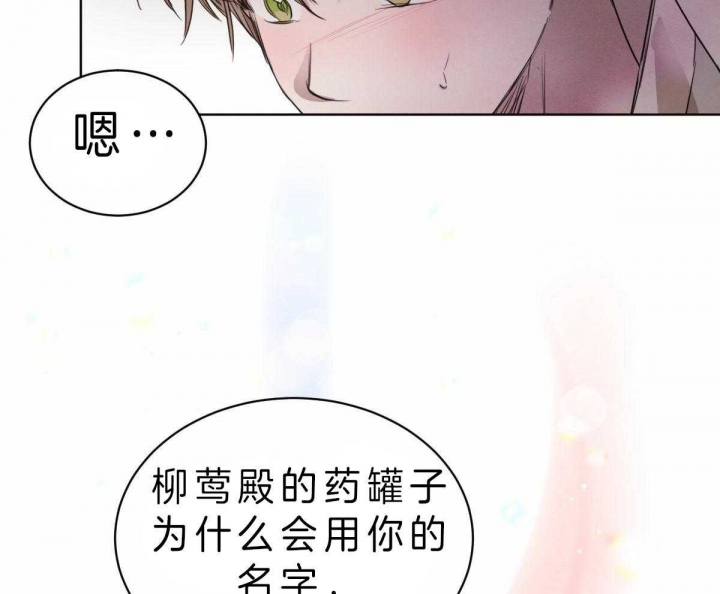 《柳树浪漫史》第61话 第13页