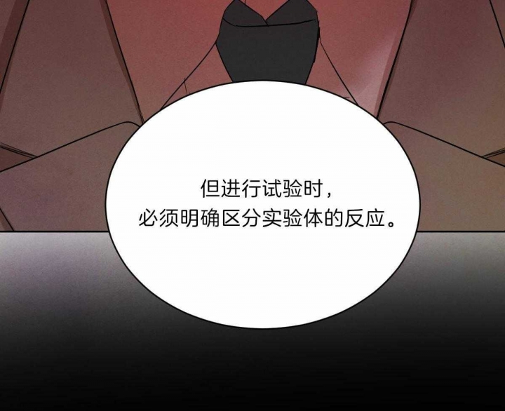 《柳树浪漫史》第70话 第35页