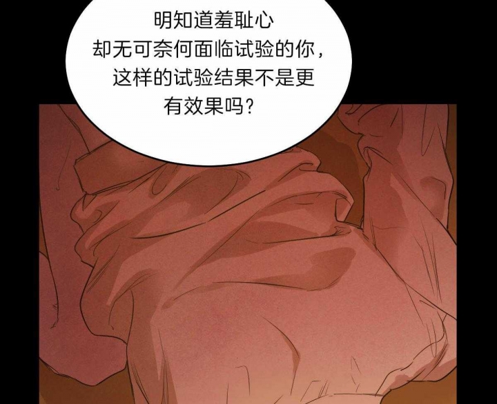 《柳树浪漫史》第70话 第41页