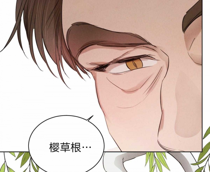 《柳树浪漫史》第68话 第21页