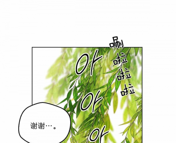 《柳树浪漫史》第75话 第11页