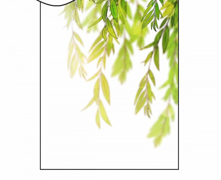 《柳树浪漫史》第75话 第12页