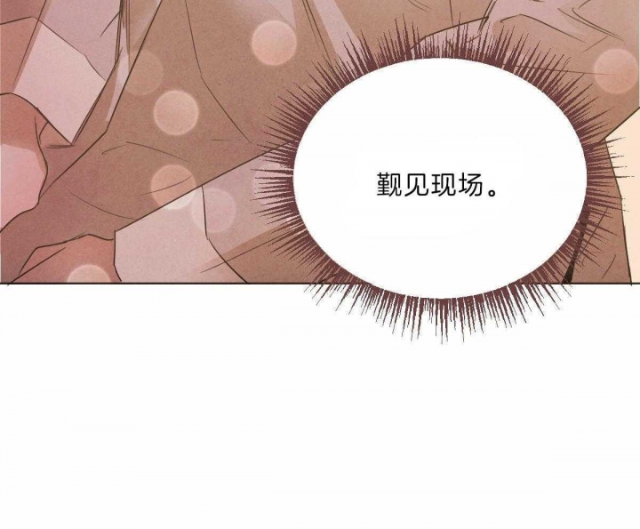 《柳树浪漫史》第73话 第35页