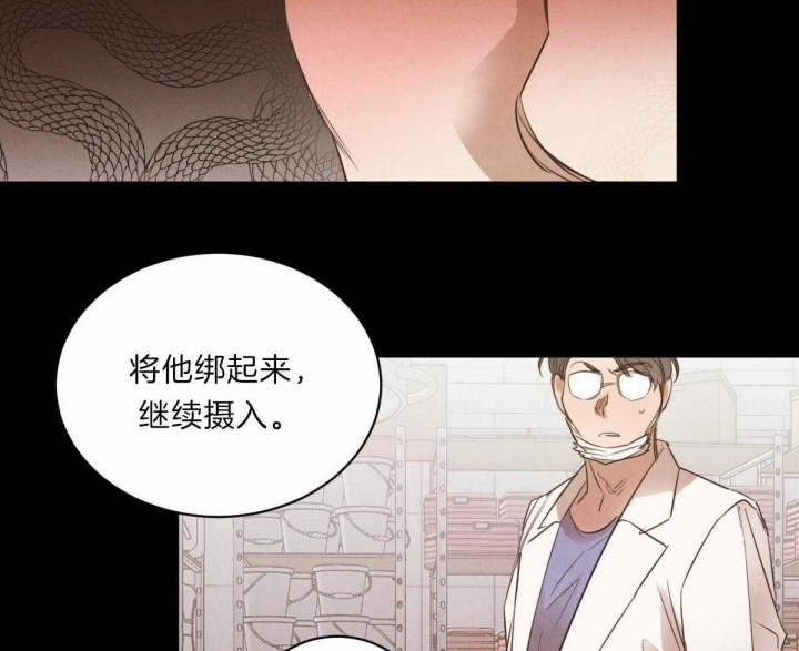 《柳树浪漫史》第72话 第19页