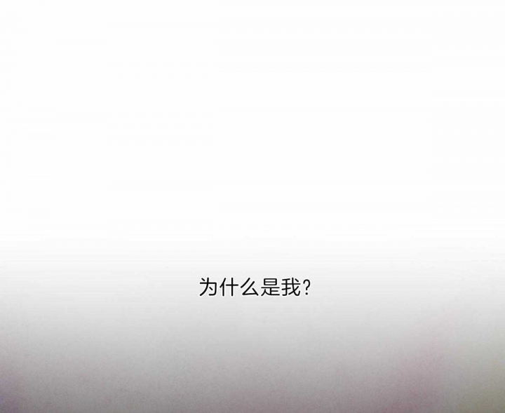 《柳树浪漫史》第71话 第19页