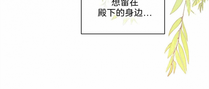《柳树浪漫史》第83话 第48页