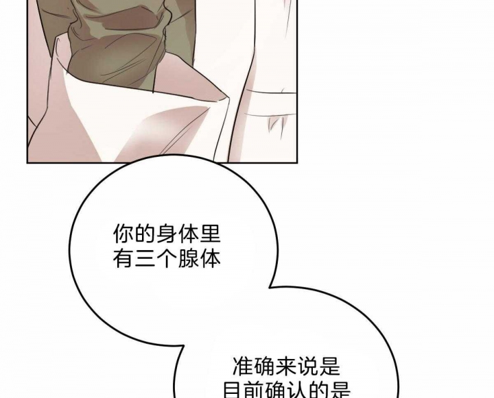 《柳树浪漫史》第89话 第15页