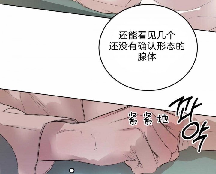 《柳树浪漫史》第89话 第17页
