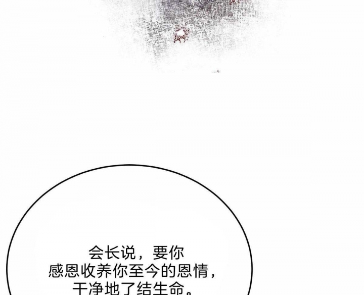 《柳树浪漫史》第94话 第13页