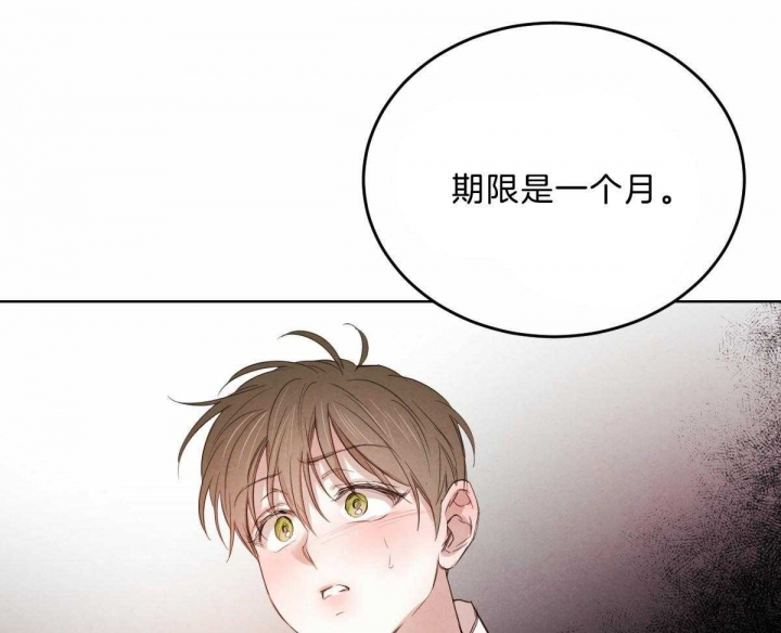 《柳树浪漫史》第94话 第16页