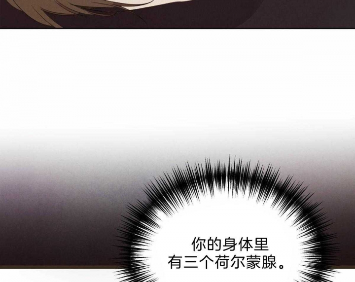《柳树浪漫史》第101话 第17页