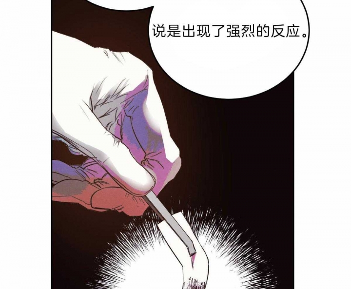 《柳树浪漫史》第110话 第11页